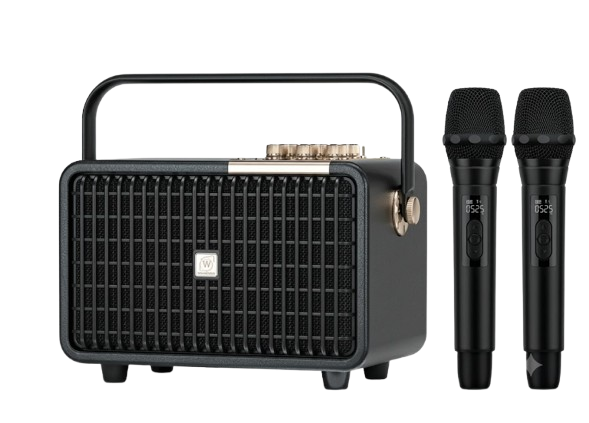 Loa Karaoke di động WinBridge L400