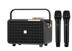 Loa Karaoke di động WinBridge L400