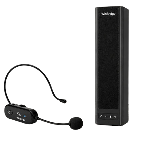 Bộ loa WinBridge VE90