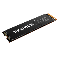 Ổ cứng gắn trong SSD TeamGroup G50 512GB M.2 NVMe