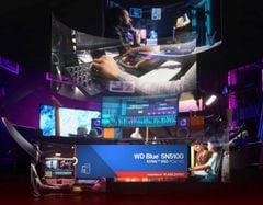 Ổ cứng gắn trong Western Digital Blue SSD 500GB SN5100 PCIe M2 (WDS500G5B0E)