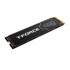 Ổ cứng gắn trong SSD TeamGroup G50 1TB M.2 NVMe