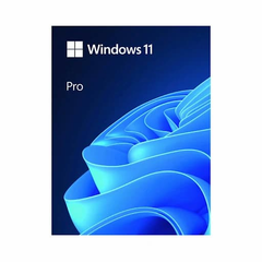 Phần mềm Windows 11 Pro 64-Bit Eng Intl 1pk DSP OEI DVD (FQC-10528)
