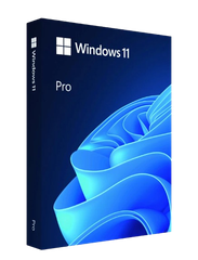 Phần mềm Microsoft Windows 11 Pro FPP 11 64-bit Eng Intl USB HAV-00163