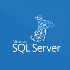 Phần mềm Microsoft SQL Server 2022 Standard 2 Core License Pack