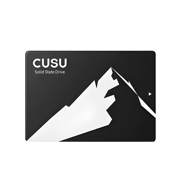 Ổ cứng gắn trong SSD CUSU C300 4TB 2.5