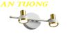 Đèn soi tranh treo tường 2 bóng trang trí đẹp 021