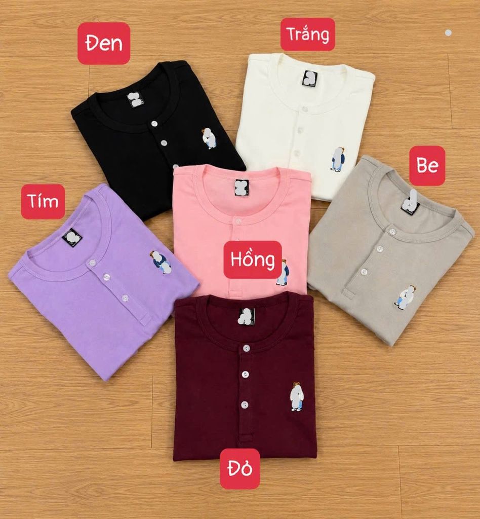 Áo thun nữ Gấu 6 màu