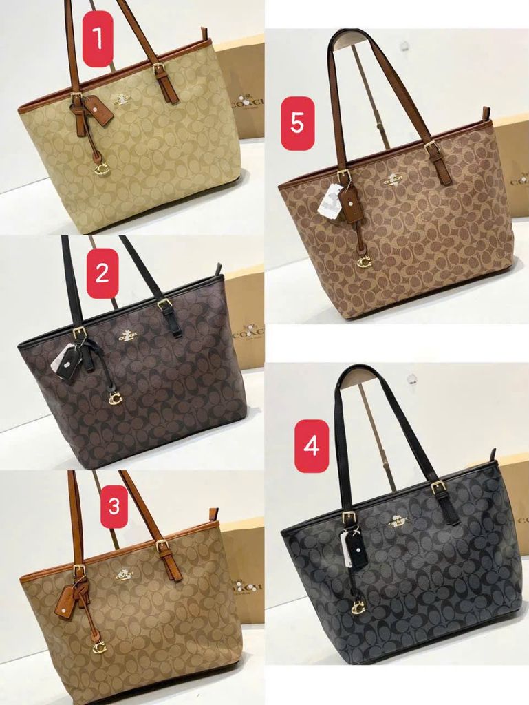 Túi Coach 5 màu mã 13105