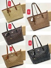 Túi Coach 5 màu mã 13105