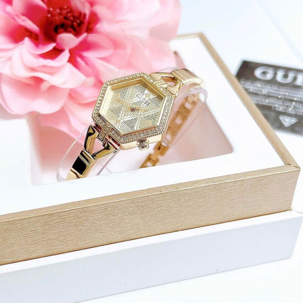 ĐỒNG HỒ GUESS GW0680L2