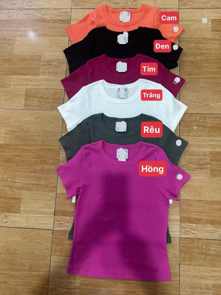 Áo thun nữ 6 màu mã Ch1812