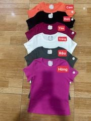 Áo thun nữ 6 màu mã Ch1812