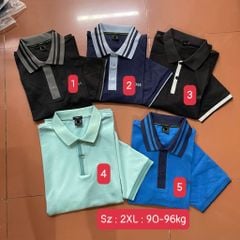 Áo thun Nam BOS2206 MÃ MỚI