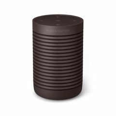 Loa Bang & Olufsen Beosound Explore