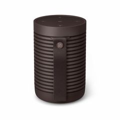 Loa Bang & Olufsen Beosound Explore