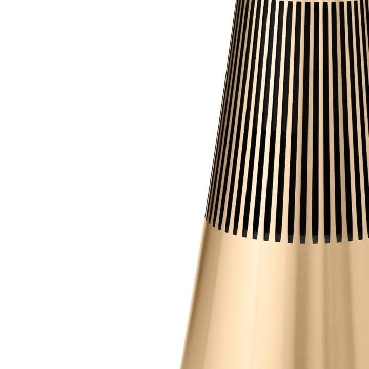 Loa Bang & Olufsen BeoSound 2 Gen3