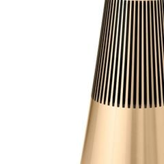 Loa Bang & Olufsen BeoSound 2 Gen3