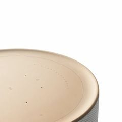 Loa Bang & Olufsen Beosound Balance