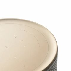 Loa Bang & Olufsen Beosound Balance