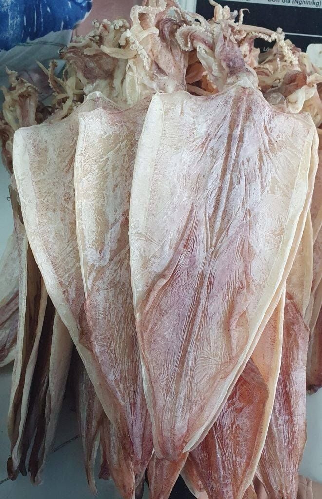 kho muc cau phu quoc loai 10 15 con kg 1kg