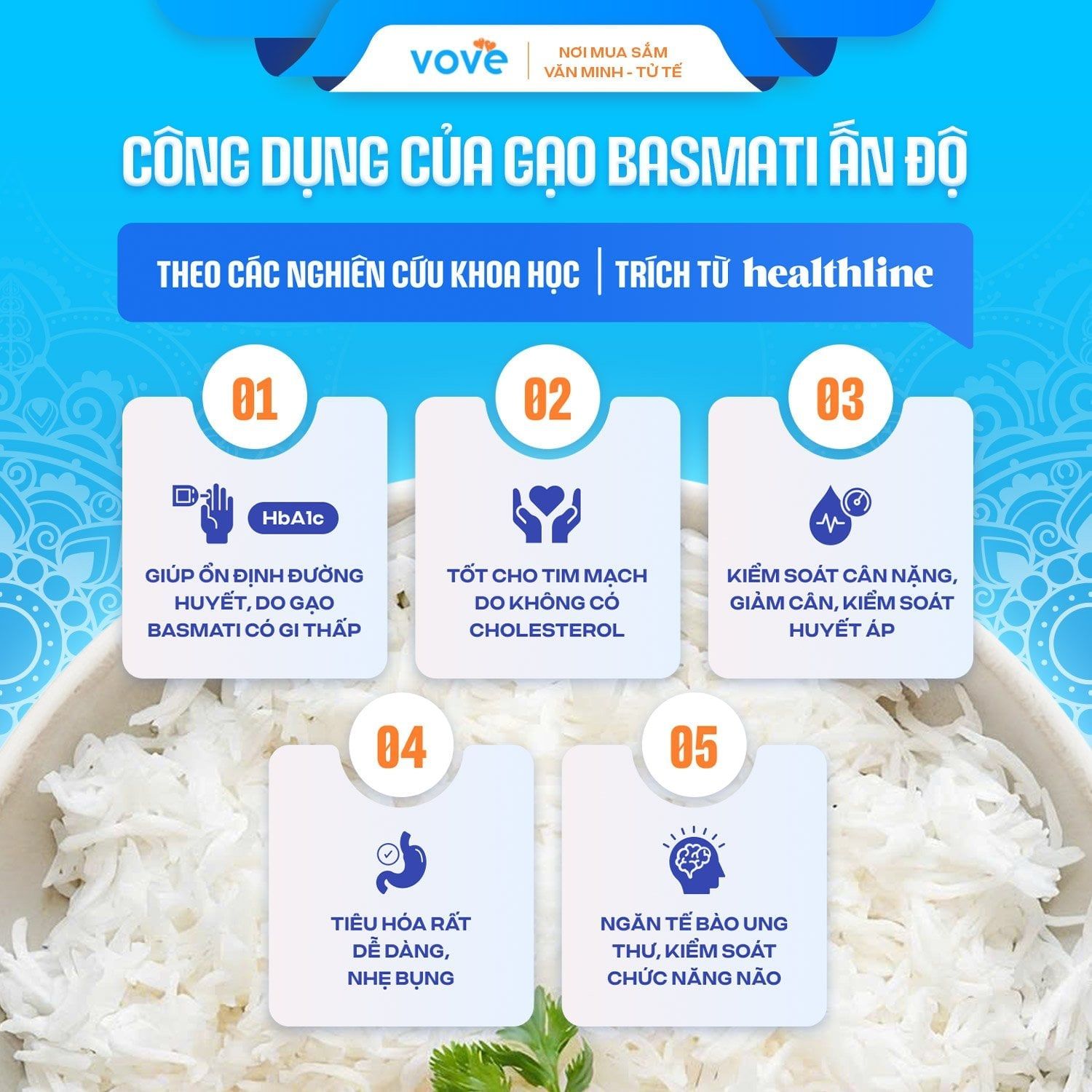  Gạo hạt dài Ấn Độ LAL QILLA MAJESTIC Biryani Basmati Long Rice, phù hợp người tiểu đường, giảm cân, 1kg 