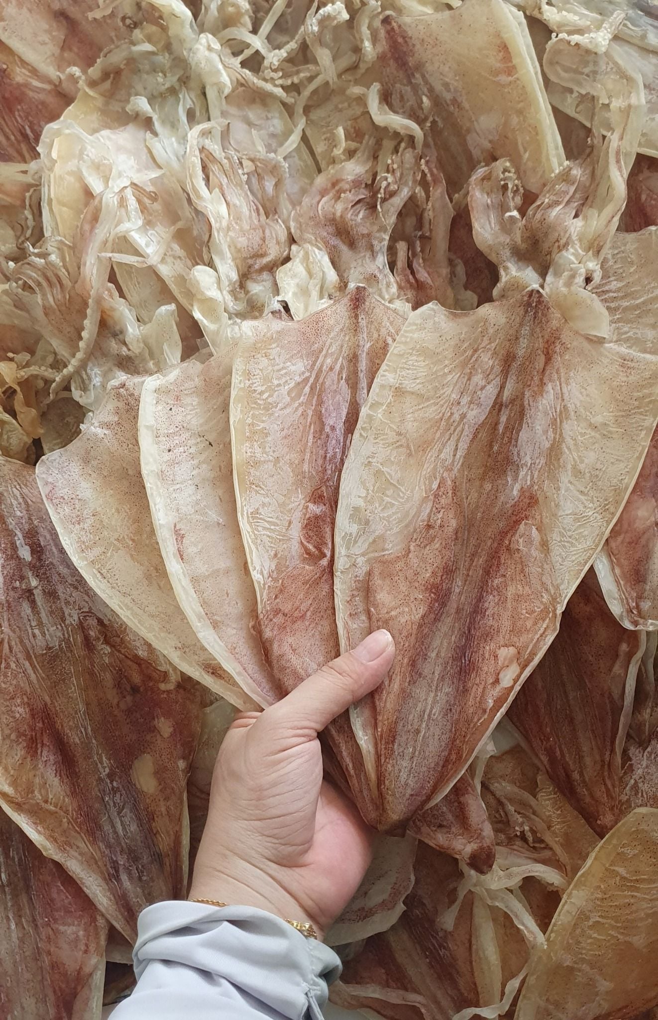  Khô Mực Phú Quốc loại 18-20 con/kg, 1kg 