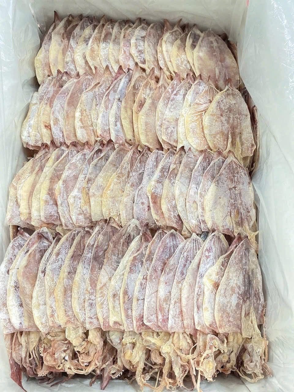  Khô Mực Phú Quốc loại 30 con/kg , 1kg 