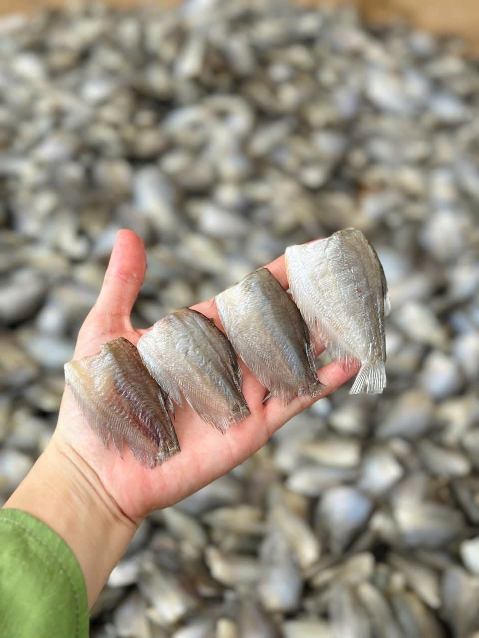  Khô cá sặc Bướm/ sặc Điệp Campuchia (tự nhiên) 500gr 