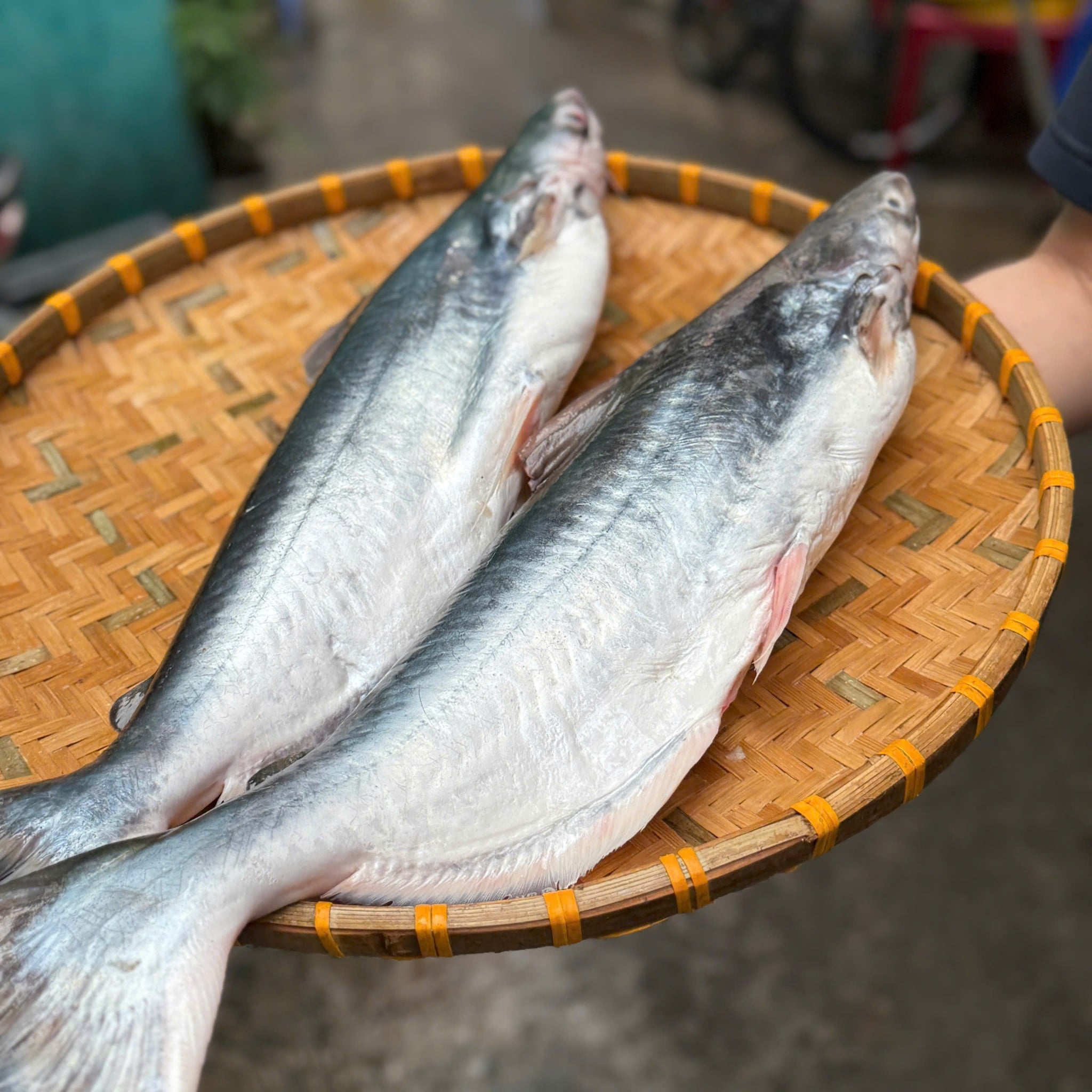 Món ngon chế biến từ cá dứa tươi tự nhiên