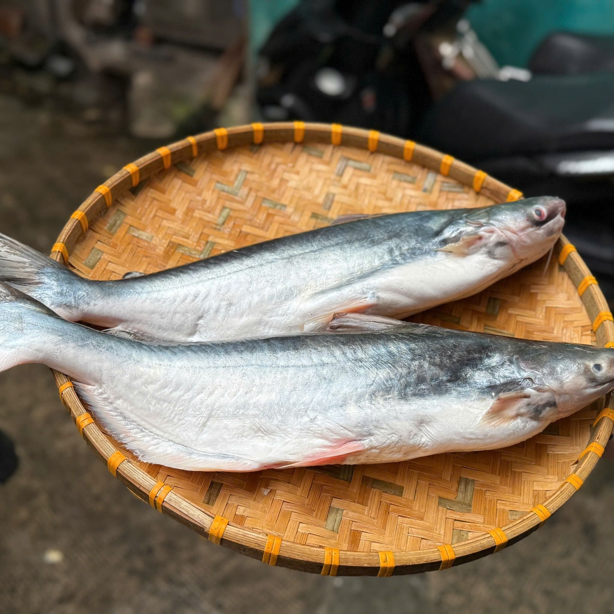  Cá Dứa Tươi Cần Giờ thiên nhiên 100% 