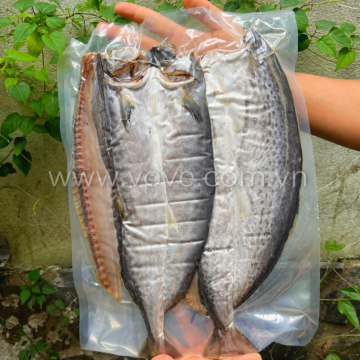  Khô cá Thu Phú Quốc loại nhiều nắng, file, nguyên con 