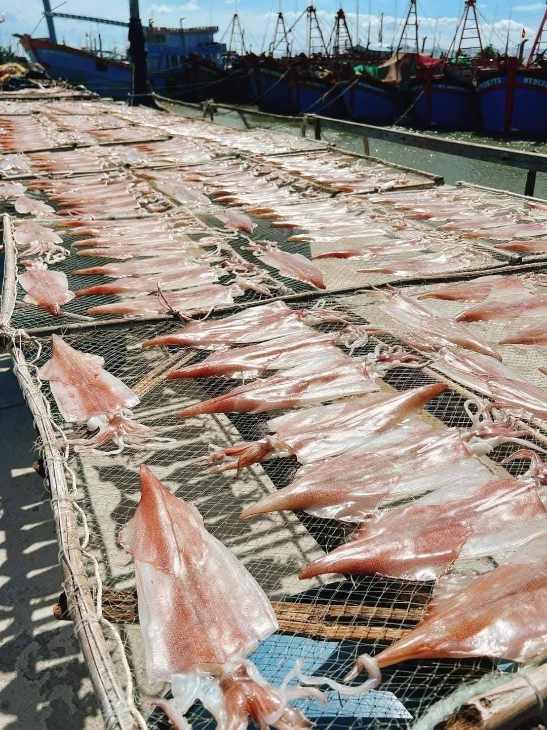  Khô Mực 1 nắng Phú Quốc loại 2 -4 con/1kg (mực câu) 