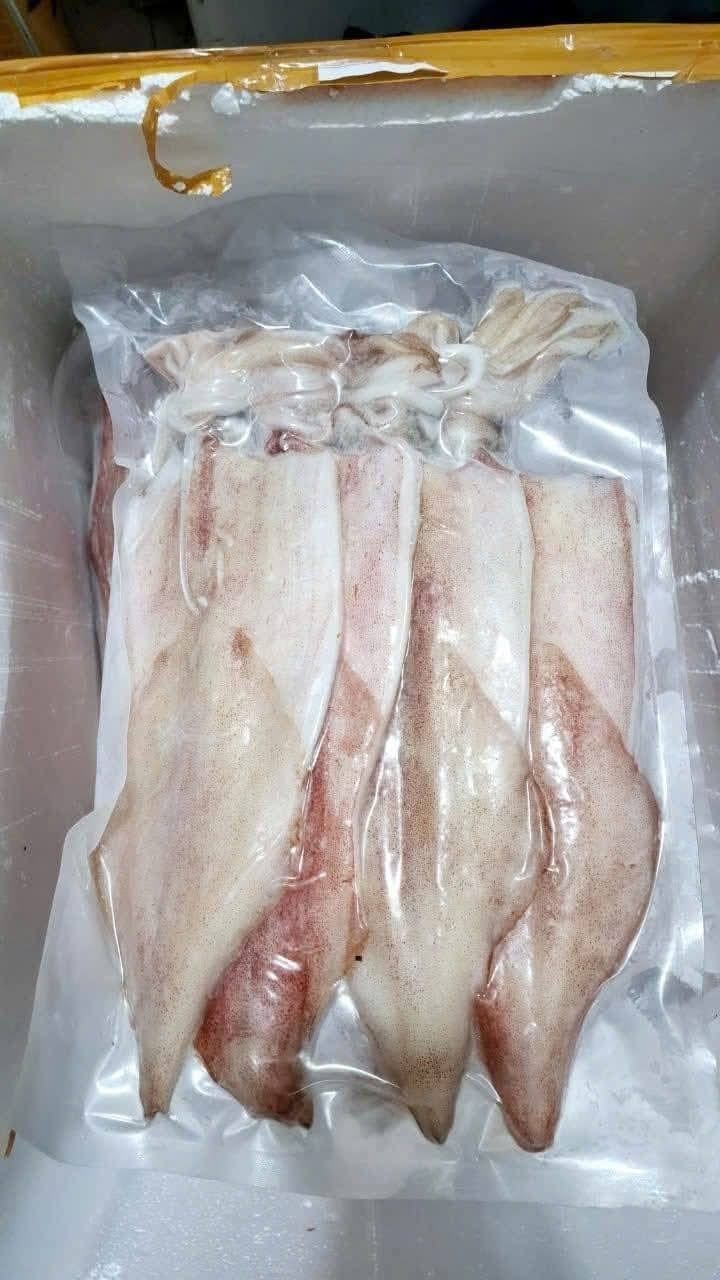  Khô Mực 1 nắng Phú Quốc loại 2 -4 con/1kg (mực câu) 