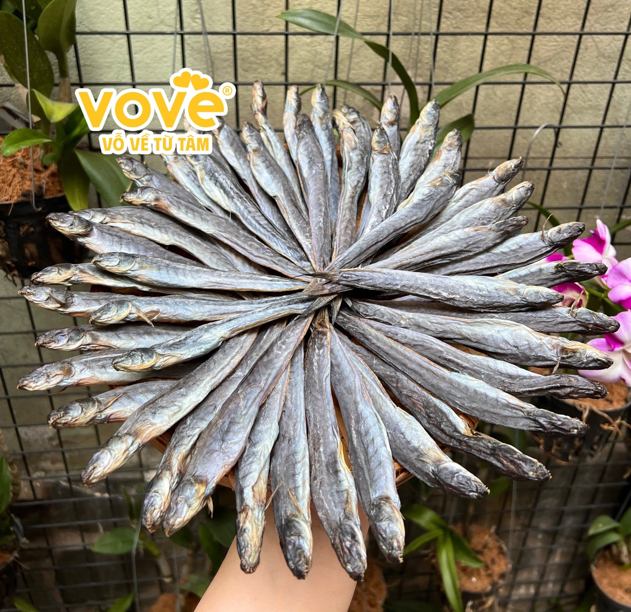  Khô cá Kèo miền Tây 
