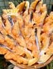 khoucluoncaduacangiouopmuoiot