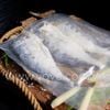 khocabetrangphuquocfileloaingonnhat