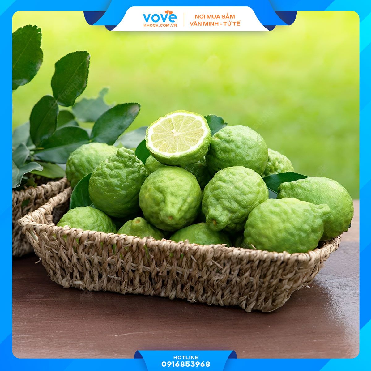  Trái Chúc Campuchia (Chanh Thái) 