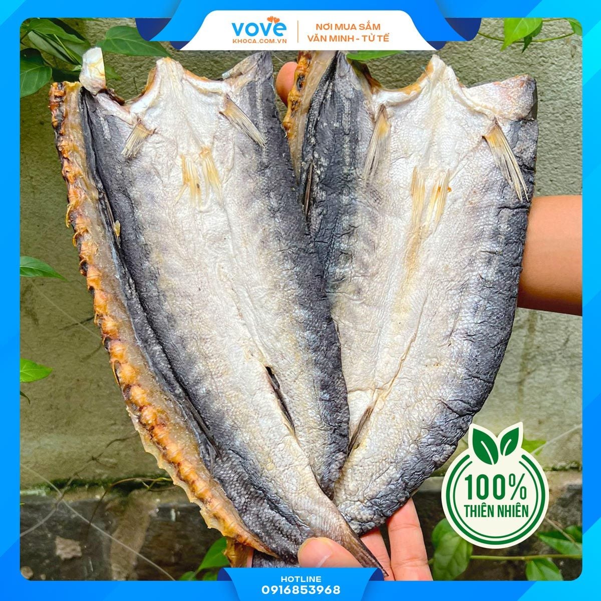  Khô cá Nhồng biển Nhiều nắng Phú Quốc 