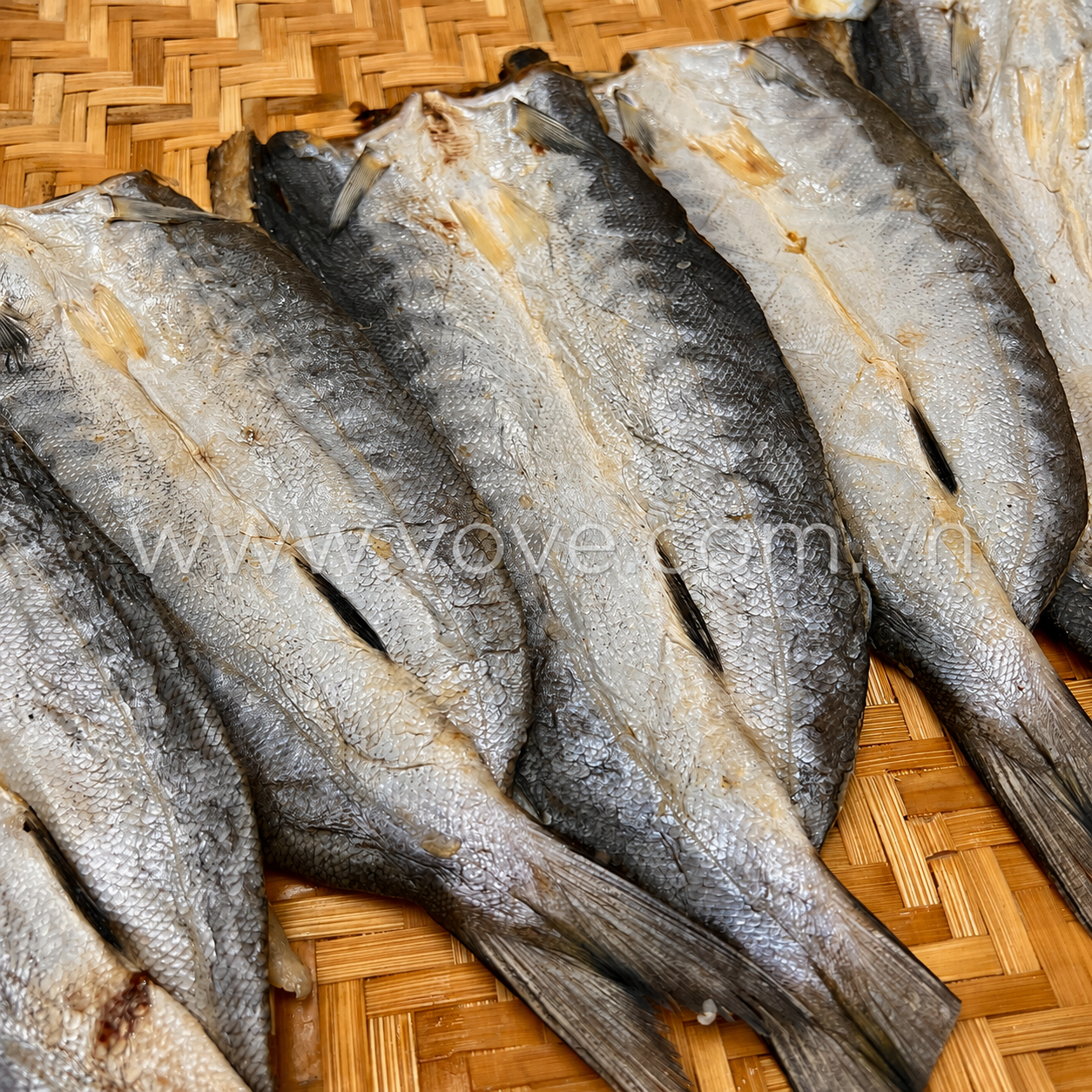  Khô cá Nhồng biển Nhiều nắng Phú Quốc 