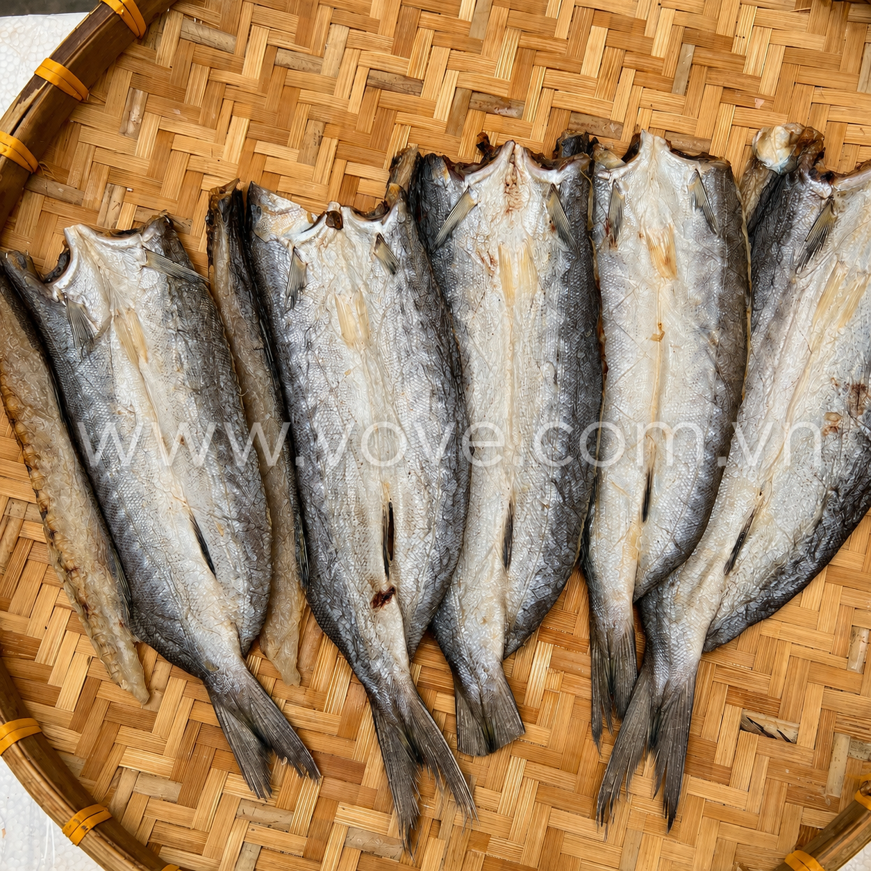  Khô cá Nhồng biển Nhiều nắng Phú Quốc 