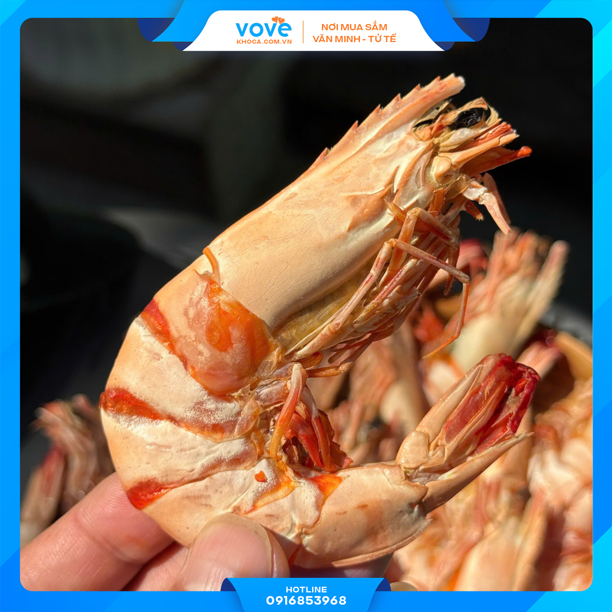 tom su kho ca mau nguyen vo thien nhien 500gr