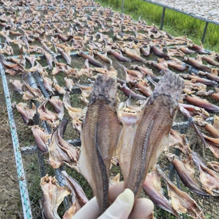 kho ca thoi loi ca mau 500g