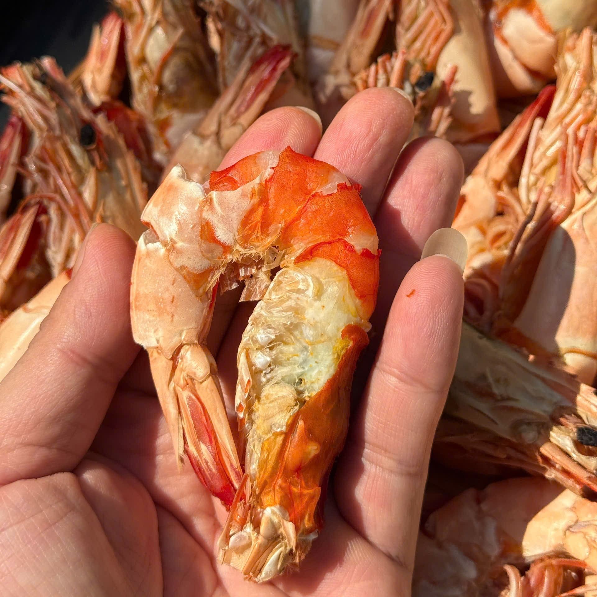 tom su kho ca mau thien nhien nguyen vo 500gr