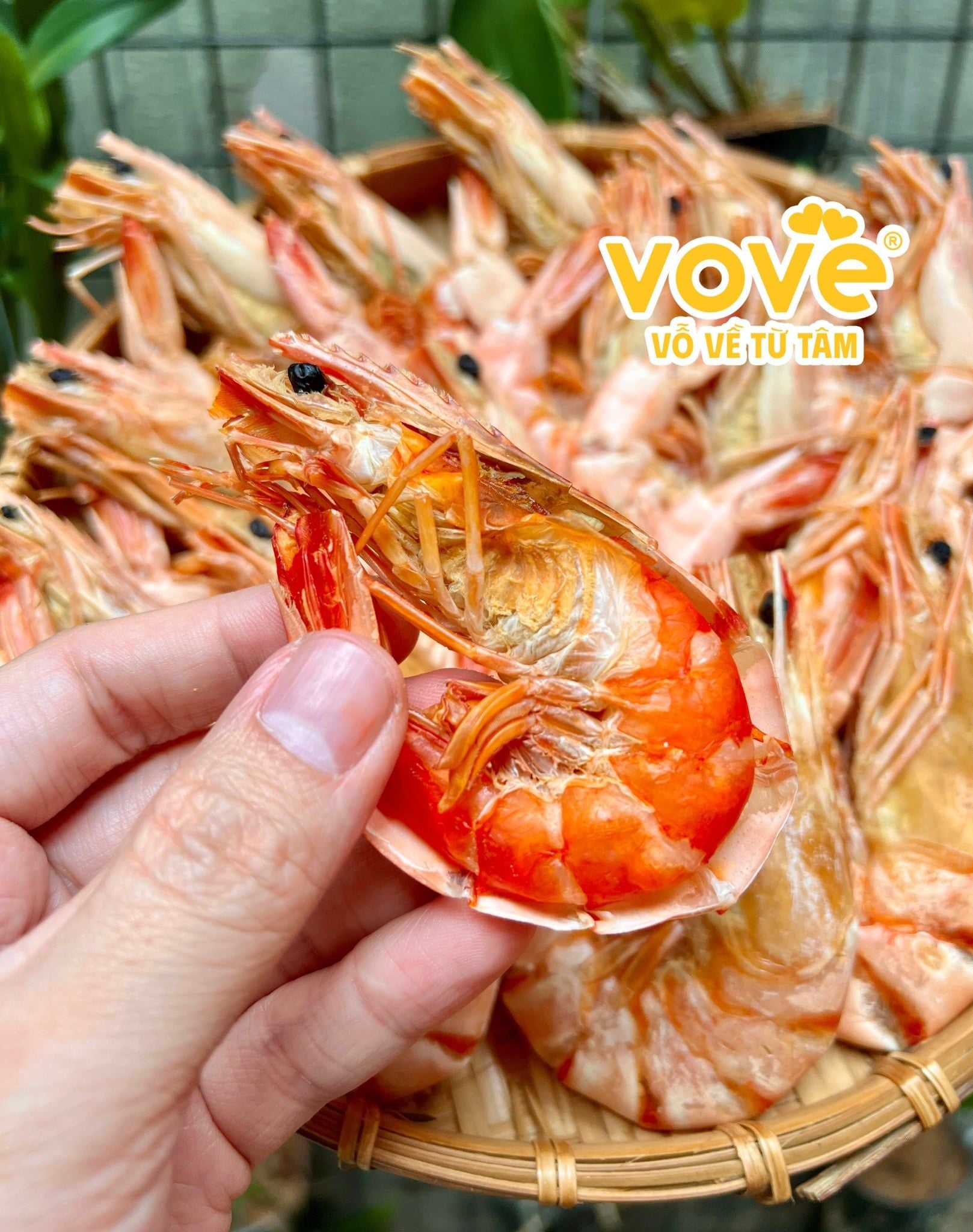 tom su kho ca mau thien nhien nguyen vo size 50 con tui 500gr