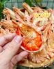 tomsukhocamauthiennhiennguyenvosize50contui500gr