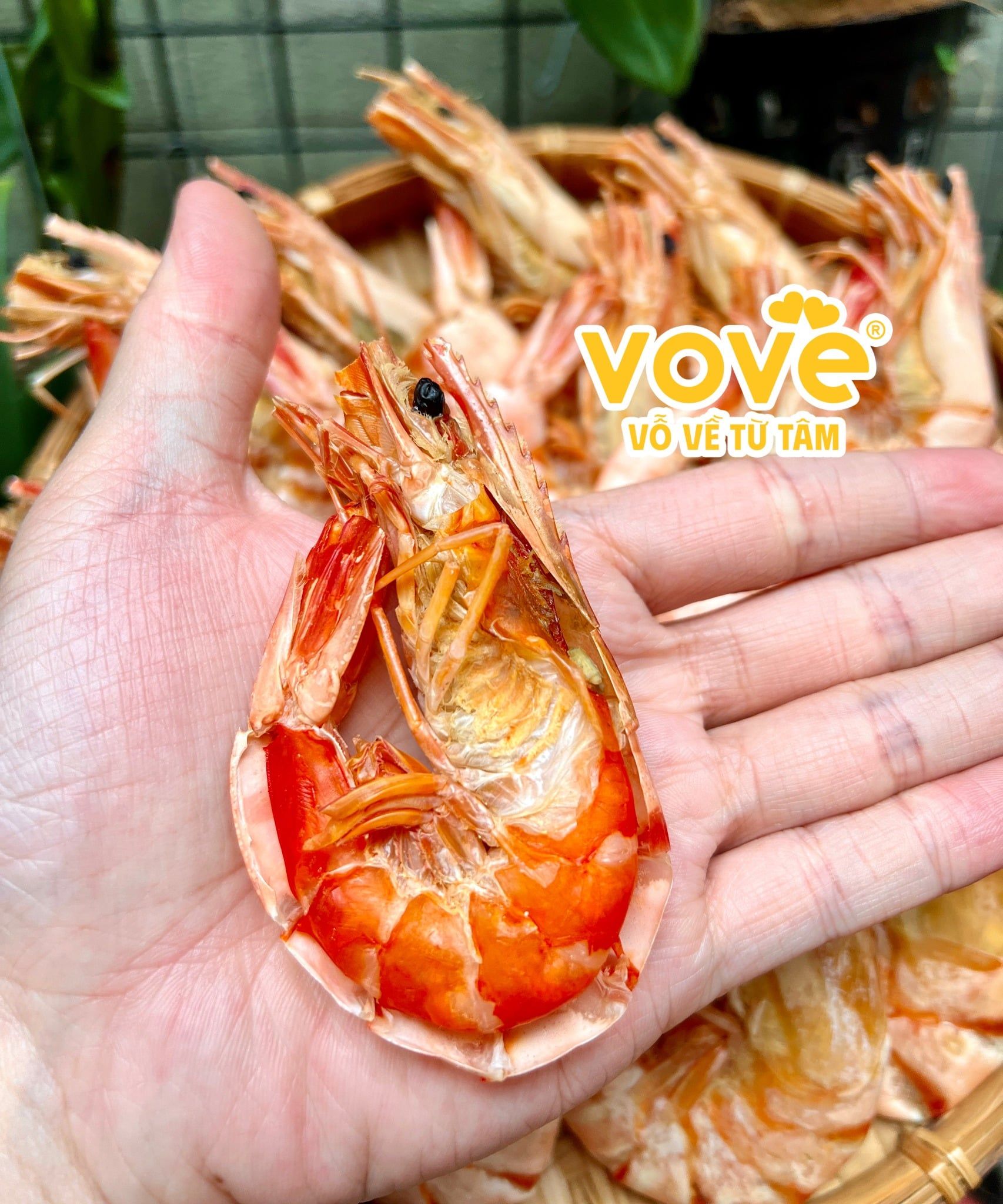 tom su kho ca mau thien nhien nguyen vo size 50 con tui 500gr