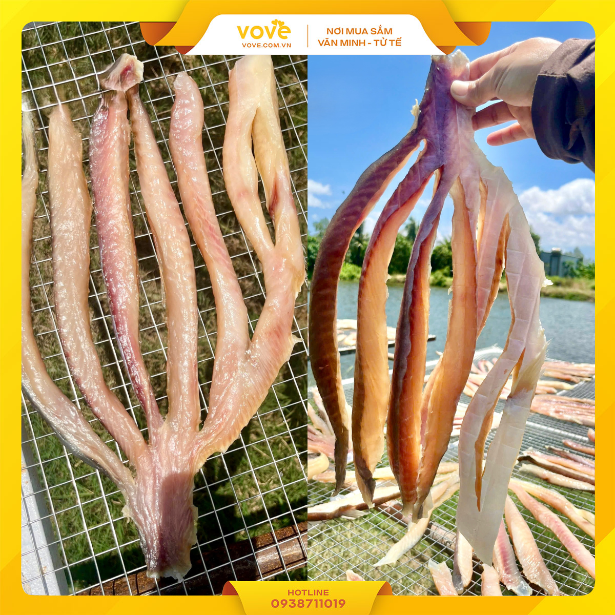 vove cung cap si v 224 le kh 244 c 225 dua nhieu nang can gio thom ngon