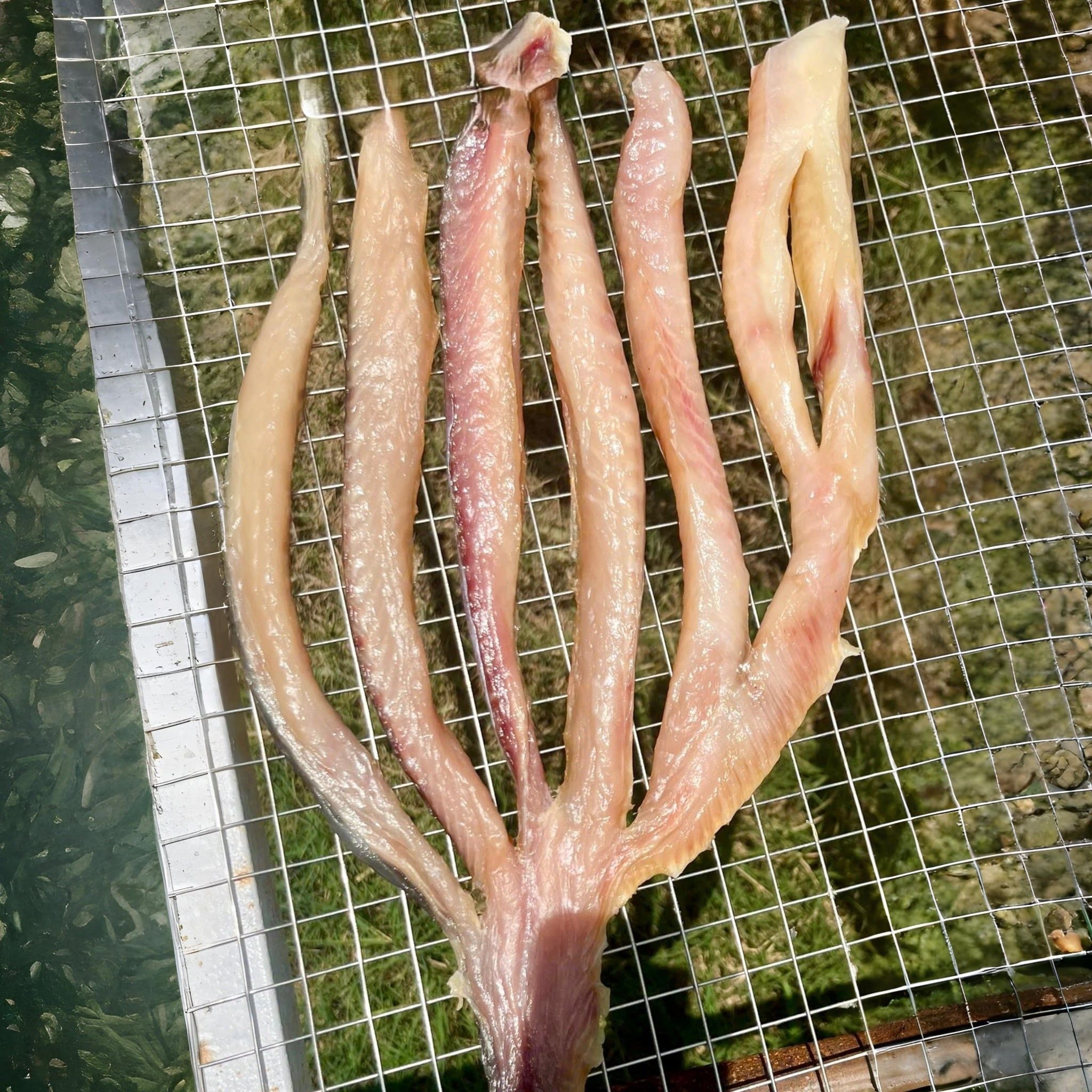 kh 244 c 225 dua nhieu nang can gio that