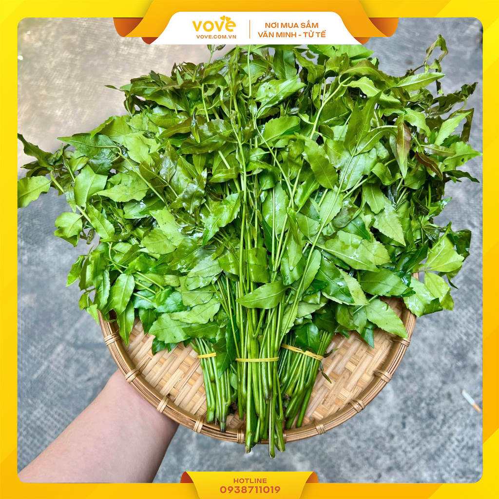 Lá Sầu Đâu 5 bó